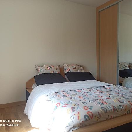 Super Appartement Avec Terasse Bischheim 외부 사진